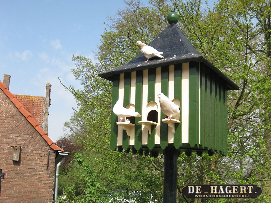 De Duiventil met weer drie nieuwe mutaties | KZ/Thermo4U